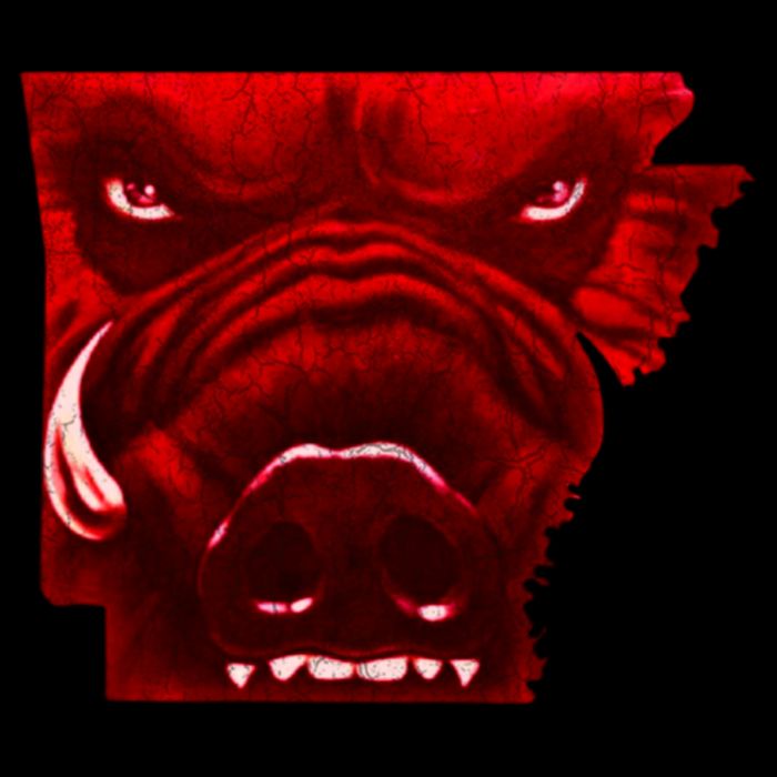 Arkansas Button