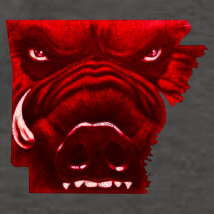 Arkansas Vector Backpack