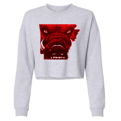 Arkansas Cropped Pullover Crew