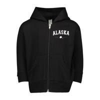 Alaskas Ak Retro Vintage Toddler Zip Fleece Hoodie