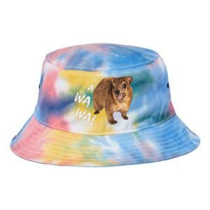 Awawa! Angry Screaming Hyrax Meme Tie Dye Newport Bucket Hat