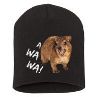 Awawa! Angry Screaming Hyrax Meme Short Acrylic Beanie