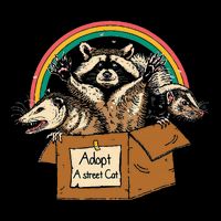Adopt A S.T.R.E.E.T Cat Funny Opossum Raccoon Skunk Vintage T-Shirt