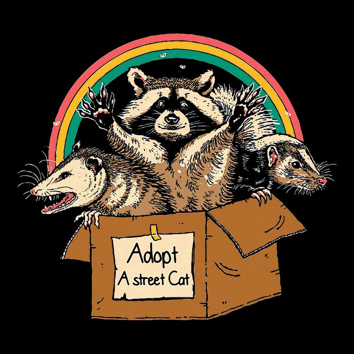 Adopt A S.T.R.E.E.T Cat Funny Opossum Raccoon Skunk Vintage T-Shirt