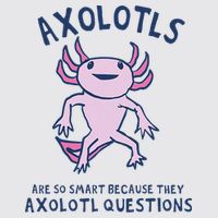 Axolotls Are So Smart Because They Axolotl Questions Womens Funnel Neck Pullover Hood