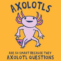 Axolotls Are So Smart Because They Axolotl Questions Pom Pom 12in Knit Beanie