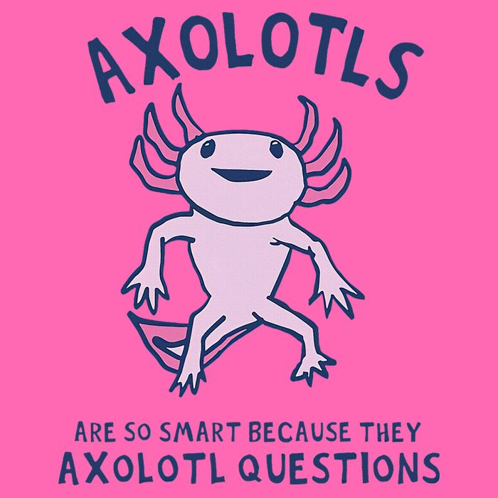 Axolotls Are So Smart Because They Axolotl Questions Stripe Pom Pom Beanie