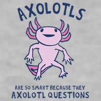 Axolotls Are So Smart Because They Axolotl Questions Ladies PosiCharge Tri-Blend Wicking Tank