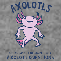 Axolotls Are So Smart Because They Axolotl Questions 7-Panel Snapback Hat