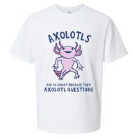 Axolotls Are So Smart Because They Axolotl Questions Sueded Cloud Jersey T-Shirt