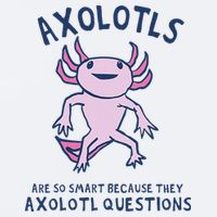 Axolotls Are So Smart Because They Axolotl Questions Sueded Cloud Jersey T-Shirt
