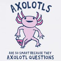 Axolotls Are So Smart Because They Axolotl Questions Baby Bodysuit