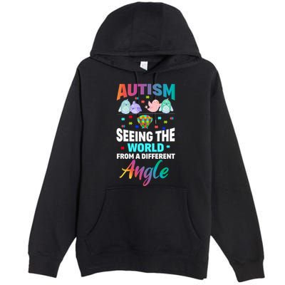 Autism Awareness Seeing The World From A Different Angle Gift Premium Pullover Hoodie