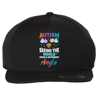 Autism Awareness Seeing The World From A Different Angle Gift Wool Snapback Cap