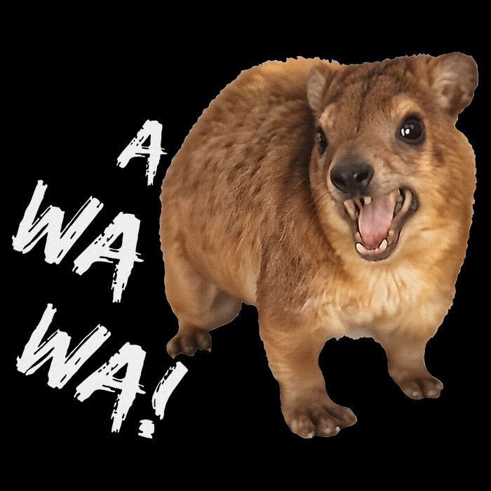 Awawa! Angry Screaming Hyrax Flat Bill Trucker Hat