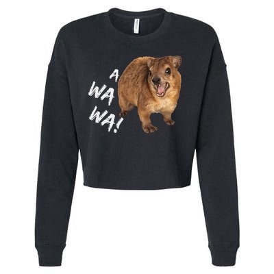 Awawa! Angry Screaming Hyrax Cropped Pullover Crew
