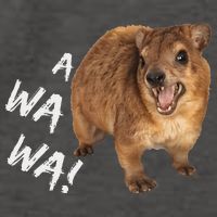 Awawa! Angry Screaming Hyrax Vector Backpack
