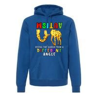 Autism Awareness Seeing The Giraffe World View Premium Hoodie