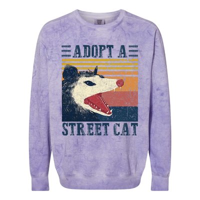 Adopt A Street Cat Funny Opossum Vintage  Colorblast Crewneck Sweatshirt