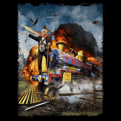 All Aboard The Trump Train Graphic Art T-Shirt