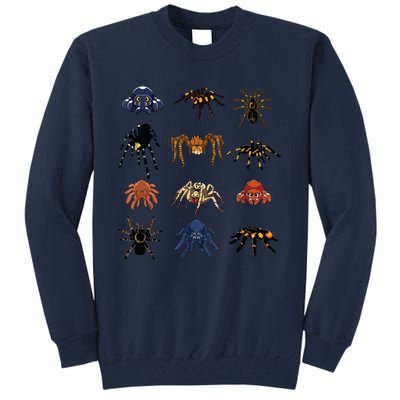 Animal Arachnid Tarantula Arthropod Halloween Gift Spider Tall Sweatshirt