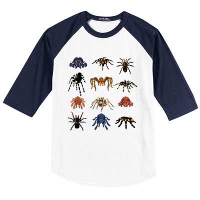 Animal Arachnid Tarantula Arthropod Halloween Gift Spider Baseball Sleeve Shirt