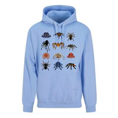 Animal Arachnid Tarantula Arthropod Halloween Gift Spider Unisex Surf Hoodie