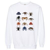 Animal Arachnid Tarantula Arthropod Halloween Gift Spider Garment-Dyed Sweatshirt