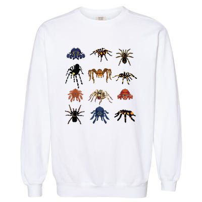 Animal Arachnid Tarantula Arthropod Halloween Gift Spider Garment-Dyed Sweatshirt