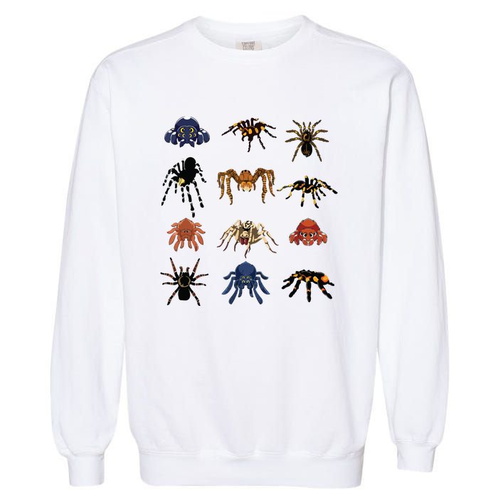 Animal Arachnid Tarantula Arthropod Halloween Gift Spider Garment-Dyed Sweatshirt