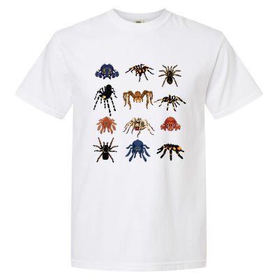 Animal Arachnid Tarantula Arthropod Halloween Gift Spider Garment-Dyed Heavyweight T-Shirt