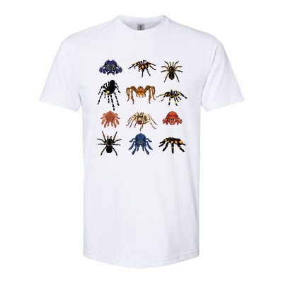 Animal Arachnid Tarantula Arthropod Halloween Gift Spider Softstyle CVC T-Shirt