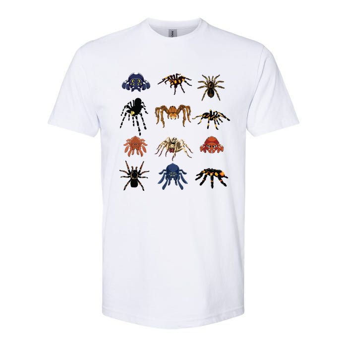 Animal Arachnid Tarantula Arthropod Halloween Gift Spider Softstyle CVC T-Shirt