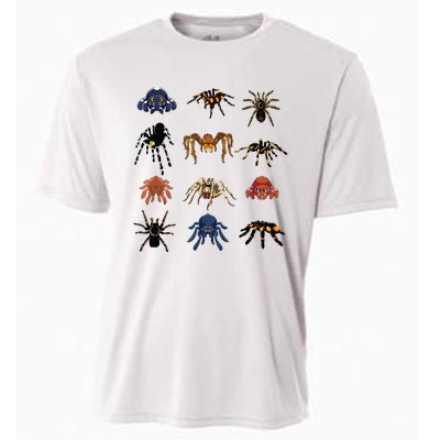 Animal Arachnid Tarantula Arthropod Halloween Gift Spider Cooling Performance Crew T-Shirt