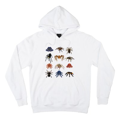 Animal Arachnid Tarantula Arthropod Halloween Gift Spider Hoodie