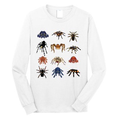 Animal Arachnid Tarantula Arthropod Halloween Gift Spider Long Sleeve Shirt