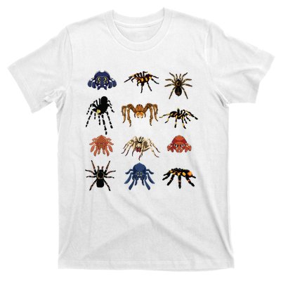 Animal Arachnid Tarantula Arthropod Halloween Gift Spider T-Shirt