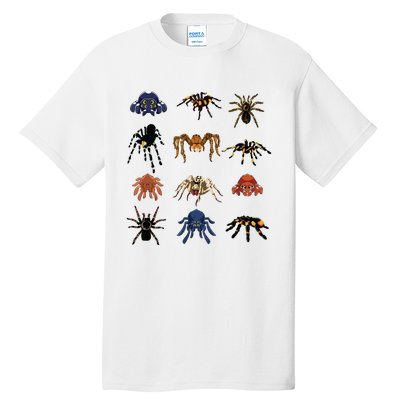 Animal Arachnid Tarantula Arthropod Halloween Gift Spider Tall T-Shirt