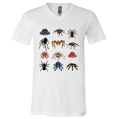 Animal Arachnid Tarantula Arthropod Halloween Gift Spider V-Neck T-Shirt