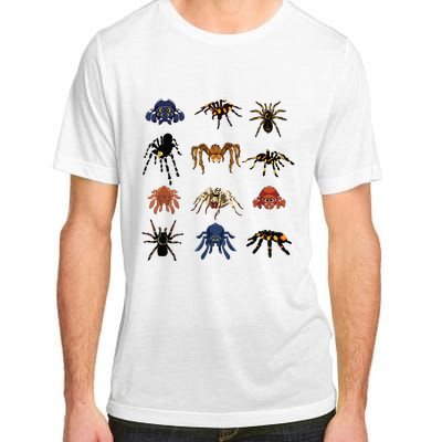 Animal Arachnid Tarantula Arthropod Halloween Gift Spider Adult ChromaSoft Performance T-Shirt