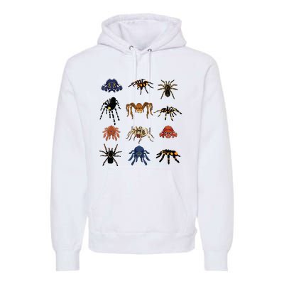 Animal Arachnid Tarantula Arthropod Halloween Gift Spider Premium Hoodie