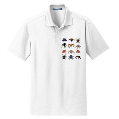 Animal Arachnid Tarantula Arthropod Halloween Gift Spider Dry Zone Grid Polo