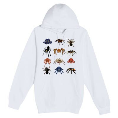 Animal Arachnid Tarantula Arthropod Halloween Gift Spider Premium Pullover Hoodie