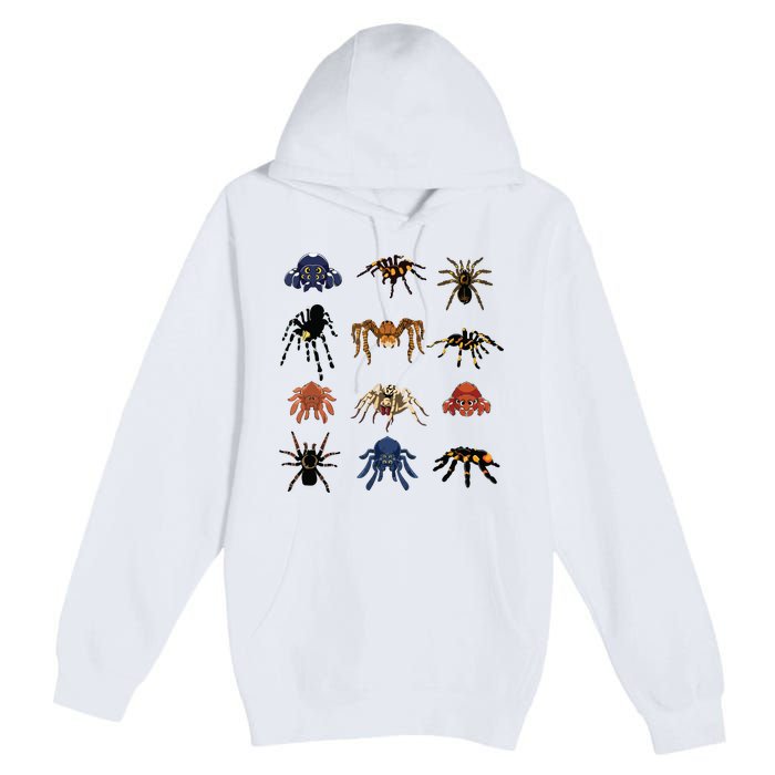 Animal Arachnid Tarantula Arthropod Halloween Gift Spider Premium Pullover Hoodie