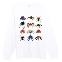 Animal Arachnid Tarantula Arthropod Halloween Gift Spider Premium Crewneck Sweatshirt