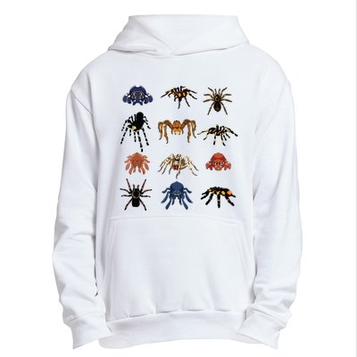 Animal Arachnid Tarantula Arthropod Halloween Gift Spider Urban Pullover Hoodie