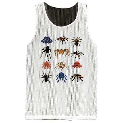 Animal Arachnid Tarantula Arthropod Halloween Gift Spider Mesh Reversible Basketball Jersey Tank