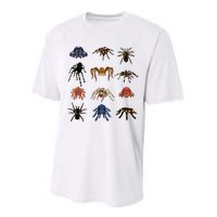 Animal Arachnid Tarantula Arthropod Halloween Gift Spider Performance Sprint T-Shirt