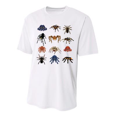 Animal Arachnid Tarantula Arthropod Halloween Gift Spider Performance Sprint T-Shirt