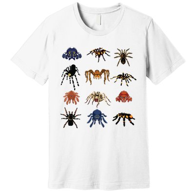 Animal Arachnid Tarantula Arthropod Halloween Gift Spider Premium T-Shirt